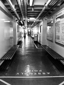 On board the Woolwich Ferry 8 On board the Woolwich Ferry 8