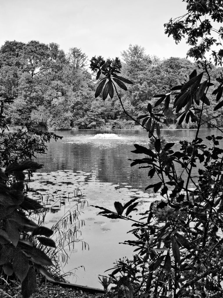 Crystal Palace Park Lake - click to enlarge