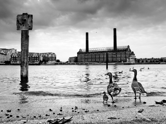 Old Swan Wharf, Battersea - click to enlarge