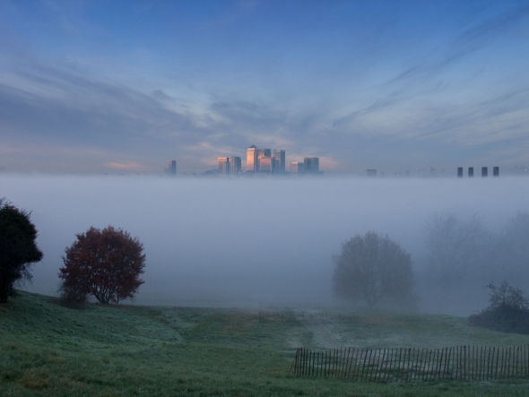 Greenwich Park in fog, December 2013 - click to enlarge