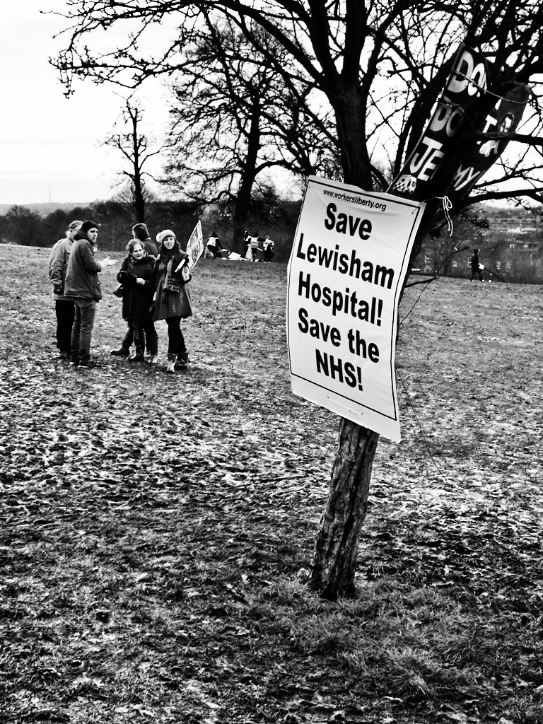 Save Lewisham Hospital protest, Mountsfield Park, Catford - click to enlarge