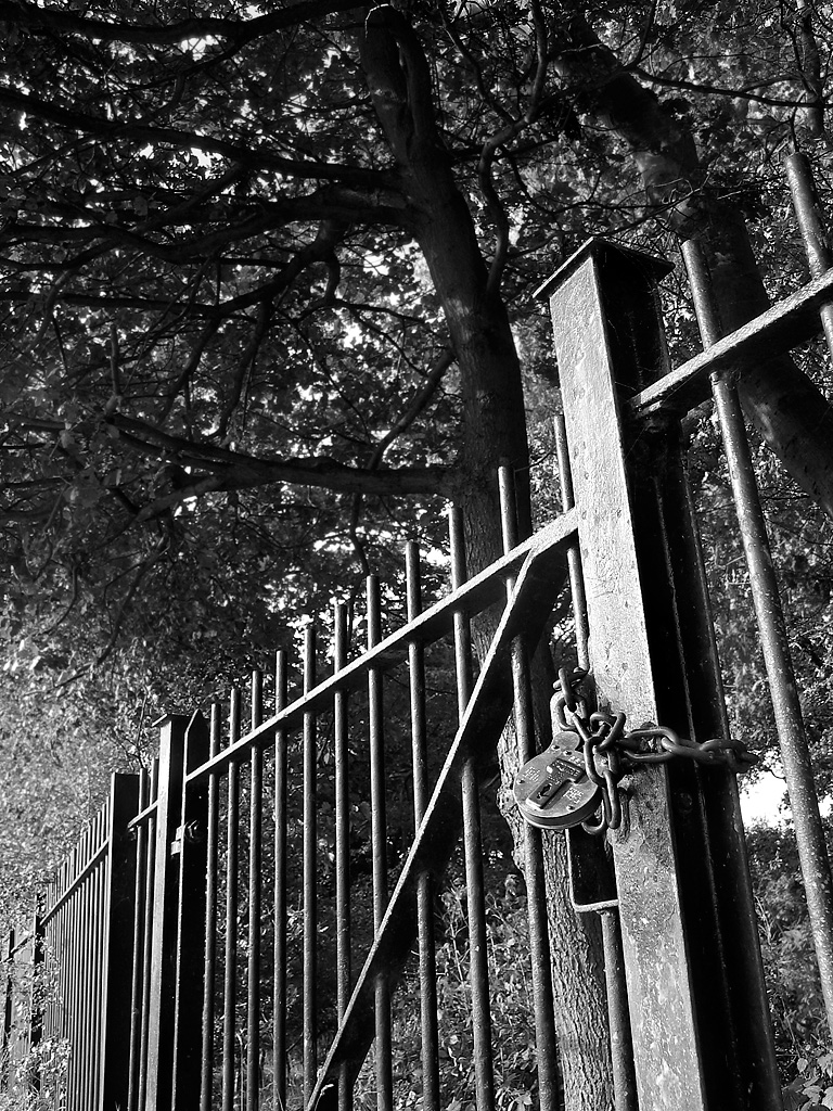 Gate, Hampstead Heath