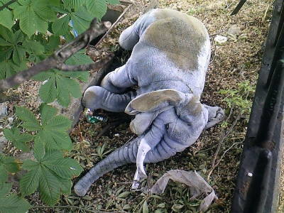 Baby elephant outside Wimbledon station