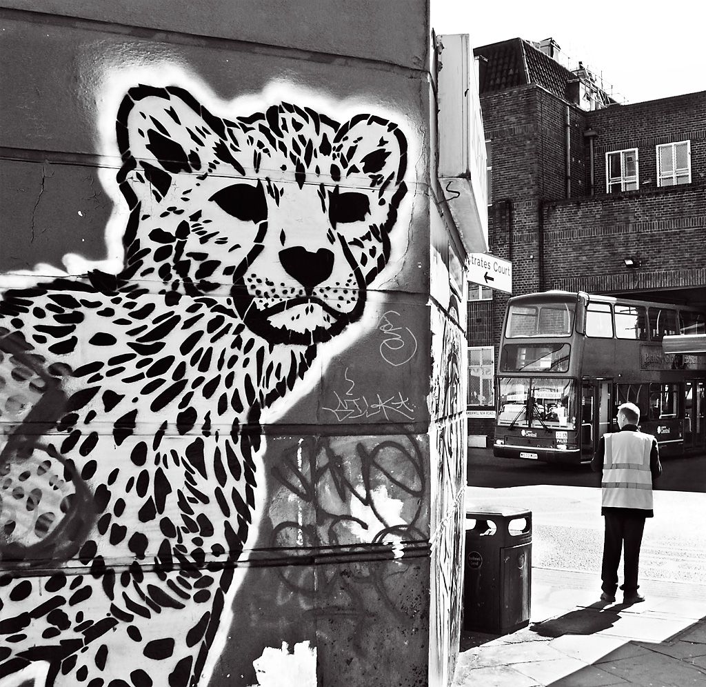 Cheetah graffiti, Camberwell Passage