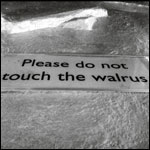 Please Do Not Touch The Walrus No. 1