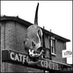 The Catford Cat